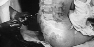 CoD-spine